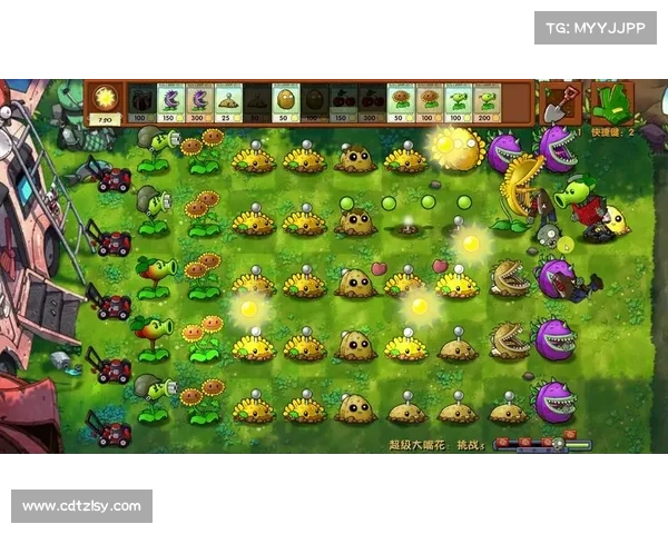 朋友聚会欢乐不停：创意十足的趣味小挑战游戏精选大全